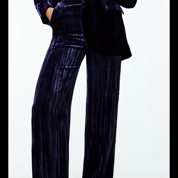 Zara Pants - Zara Limited edition pants